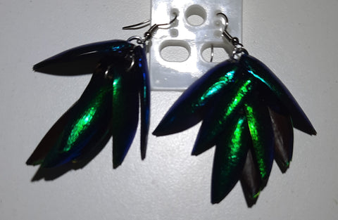 beetle wing earrings